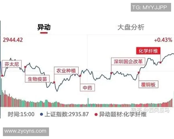 杭州排球队与西安排球队的赛后复盘与节奏分析